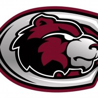 White County Central High School Logo