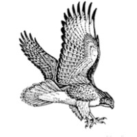 Augustus F. Hawkins High B Community Health Advocates Logo