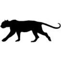 Polo High School Logo