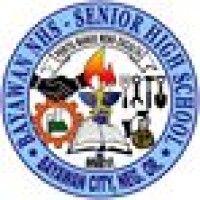 Minico Senior High School Logo
