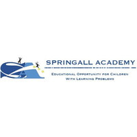 Springall Academy Logo