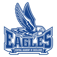 Central Academy of Excellence Logo