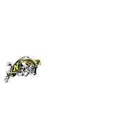 Cleveland Njrotc Academy Logo