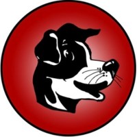 Brockway Area Junior/Senior High School Logo