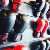 BOUT Boxing Logo