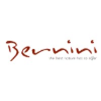 Bernini Stone & Tile Logo