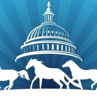 Herd on the Hill Logo