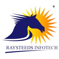 RAYSTEEDS INFOTECH PRIVATE LIMITED Logo