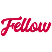 The Digital Fellow Logo