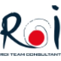ROI TEAM CONSULTANT Logo
