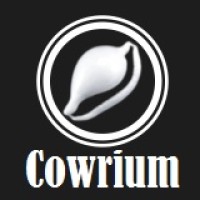 Cowrium Int Ltd Logo