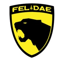 Felidae Electric Logo