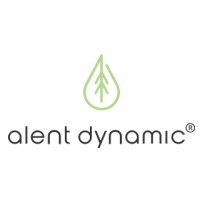 ALENT DYNAMIC AB Logo