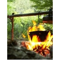 Treasure Sentinels Logo