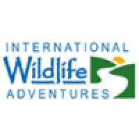 International Wildlife Adventures Logo