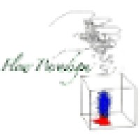 Flow Paradigm LLC Logo