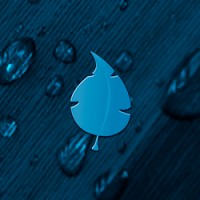 Blueleaf Sàrl Logo