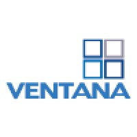 Ventana DSM Logo