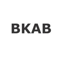 Brevik Konsult AB Logo
