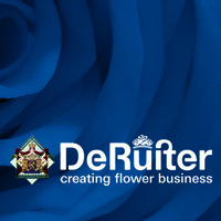 De Ruiter Innovations Logo