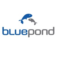 Bluepond Logo