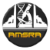 Ainshams Medical Students Research Association (AMSRA) Logo