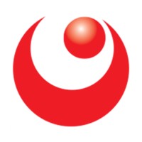 Grupo Valdir Saraiva Logo