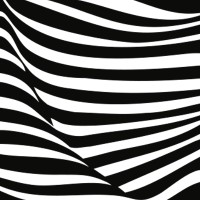 zebra | group GmbH Logo
