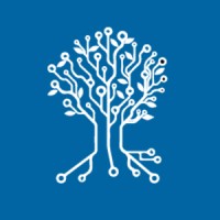 Netzer Consulting Logo