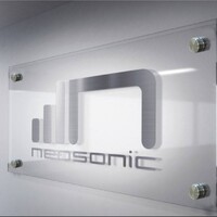 Neosonic Logo