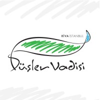 Düşler Vadisi Riva Logo