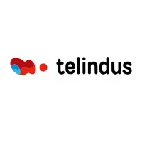 Telindus Luxembourg Logo