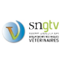 SNGTV Logo