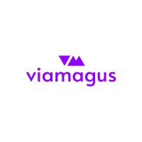 Viamagus Technologies Logo