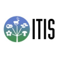 Integrated Taxonomic Information System (ITIS) Logo