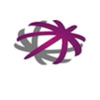 Consultor Técnico Logo