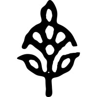 Cotton Curio Logo