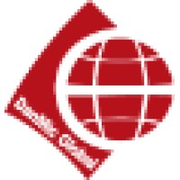 Danmic Global LLC Logo