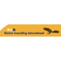 Histoto Consulting International cc Logo