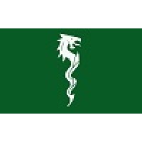 Green Dragon da Nino Logo