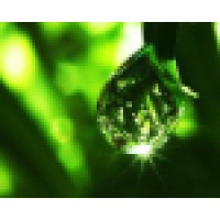 International Medical Center SmartMed Logo