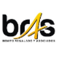BRAS Tax advisors Logo