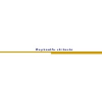 Raphael Architects Logo