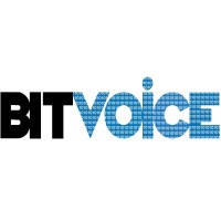 Bitvoice Solutions Private Limited Logo