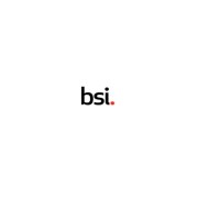 British Standard Institutions Logo