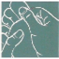 Knoxville Reflexology Group, Inc. Logo