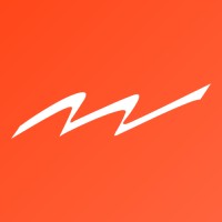 Mind-Mercatis srl Logo