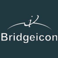 Bridgeicon IT Services Logo