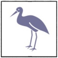 Lowcountry Websites & Consultation Logo