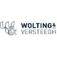 Wolting & Versteegh accountants & belastingadviseurs Logo